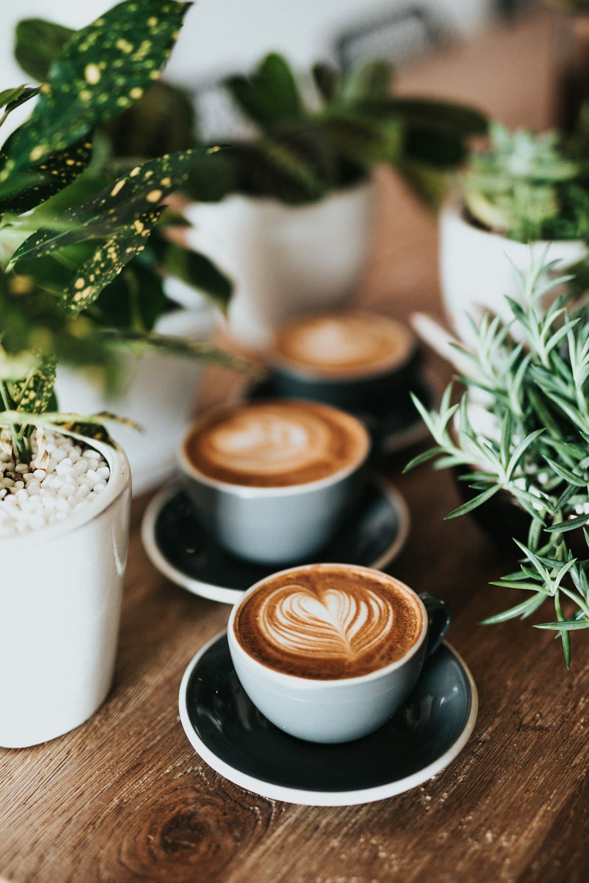 Cozy café setting